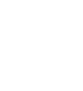 fuzhuangicon1.png